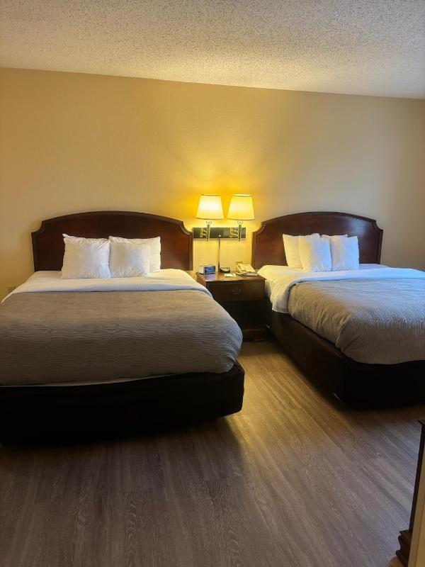 Queen Room with Two Queen Beds - Non-Smoking image 3