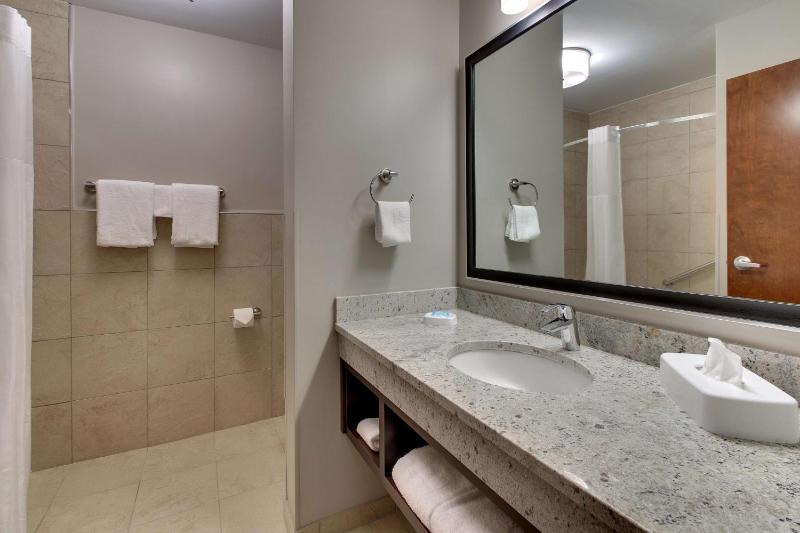 Deluxe King Suite image 2