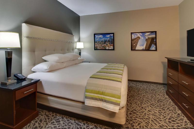 Deluxe King Suite image 4