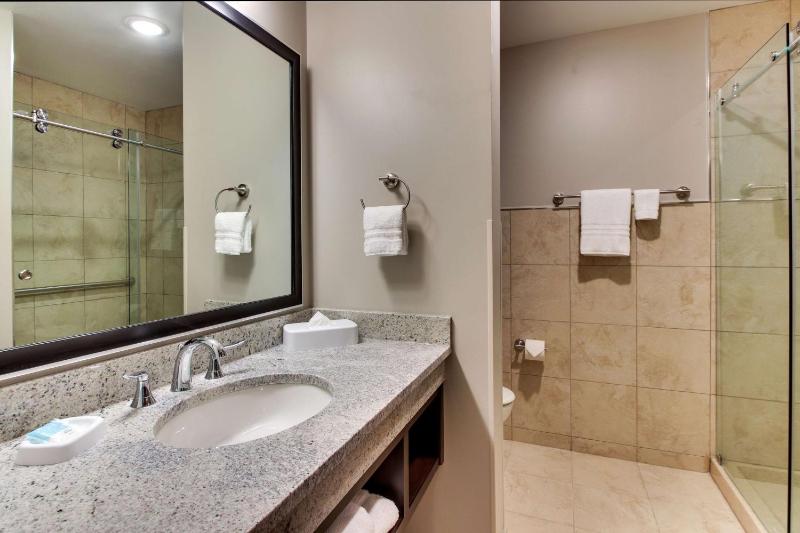 King Suite with Sofa Bed - Hearing Accessible image 2