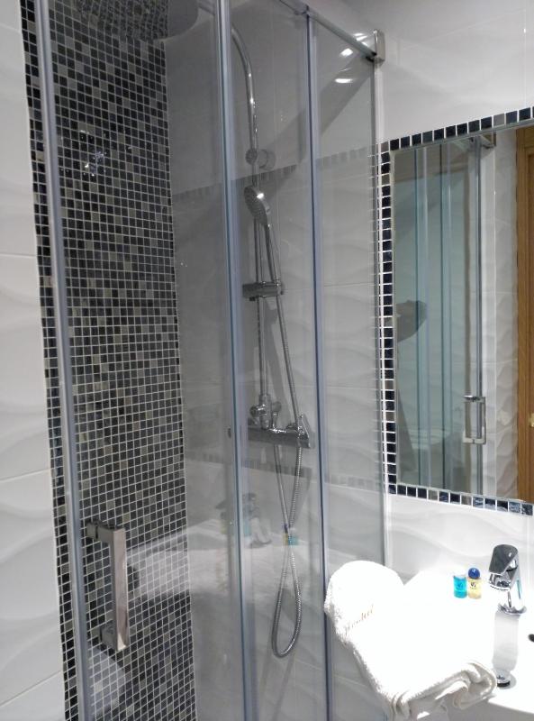 Double or Twin Room image 4