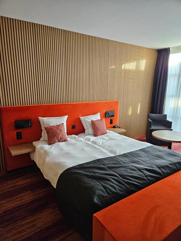Superior Room image 4