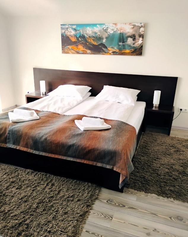 Pensiunea Carmen - Bikers Friendly Nest - image 34