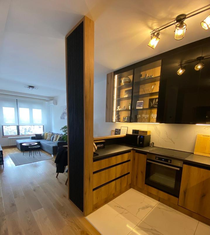 One-Bedroom Apartment image 2