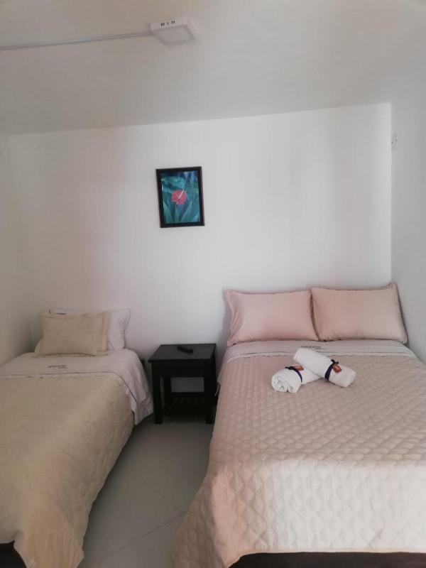 Cemandy Hostal - image 49