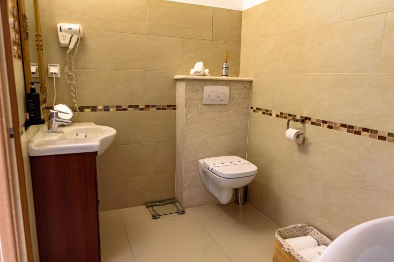 Deluxe Suite with Spa Bath image 3