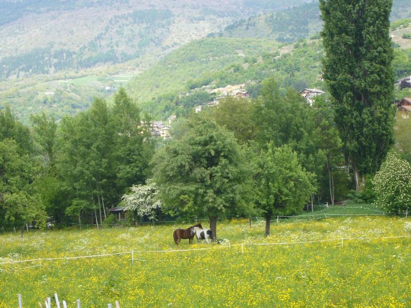Le Nid de Saint Ours - image 8