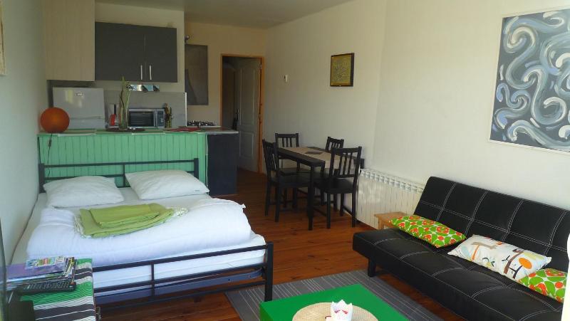 Comfort Apartment image 3