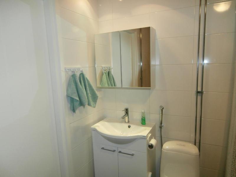 Apartment with Sauna image 3