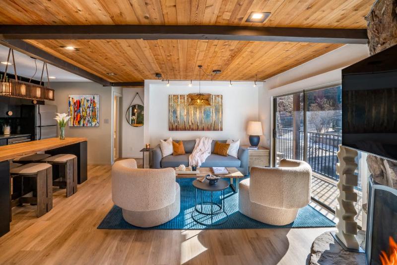 Spacious & Central Aspen 1BR with AC! - image 15