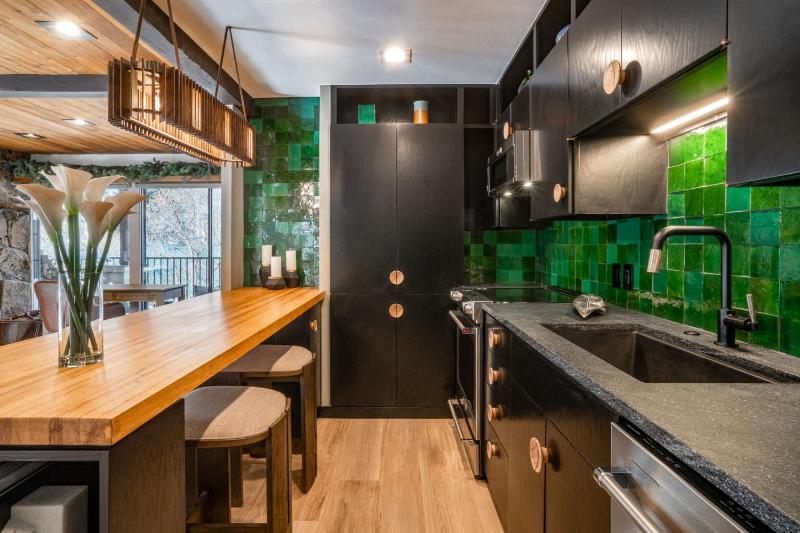 Spacious & Central Aspen 1BR with AC! - image 19