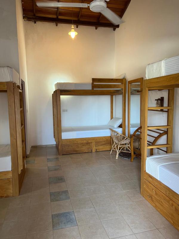 Hummus Hostel Hikkaduwa - image 3