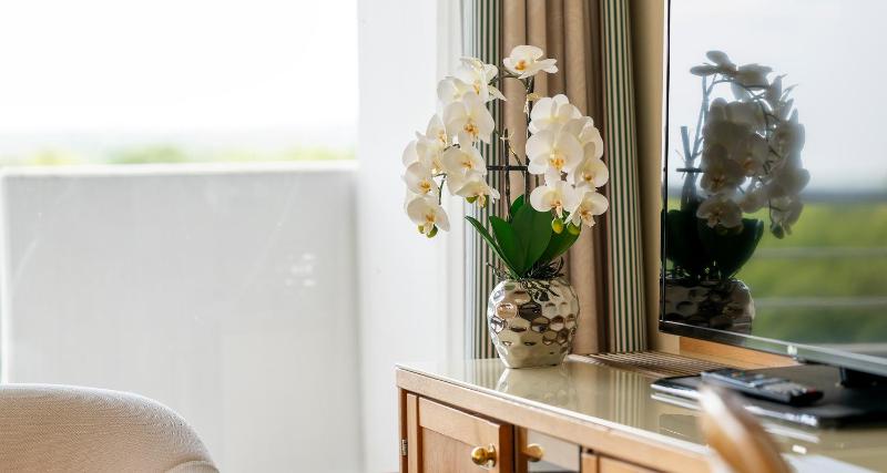 Standard Single Room image 4