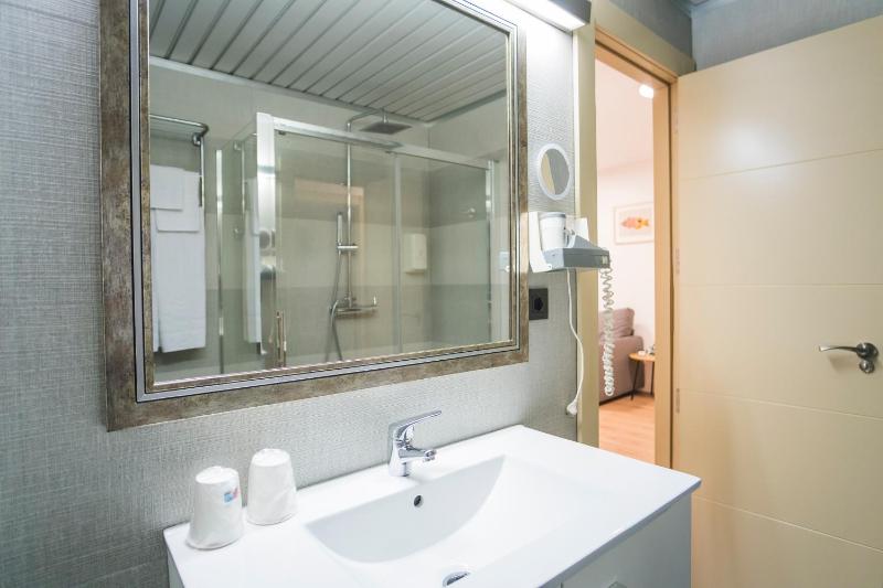 One-Bedroom Apartment image 3