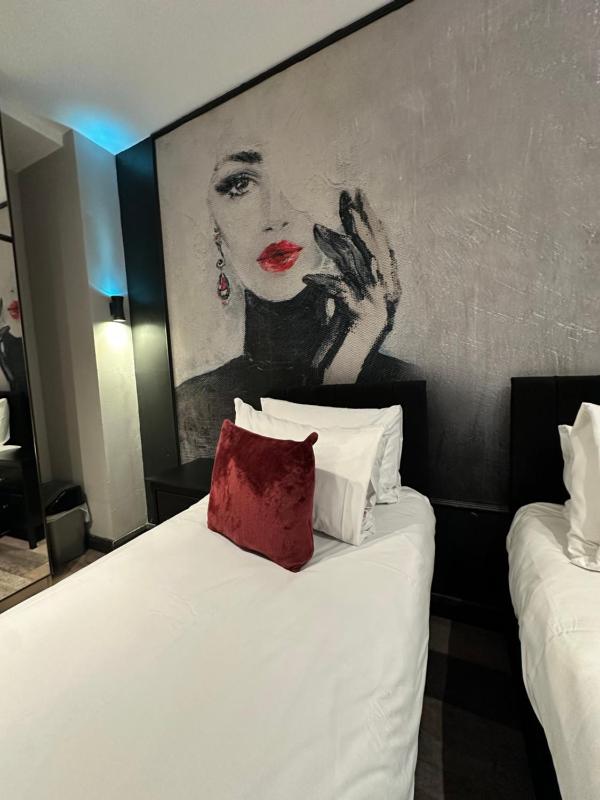 Deluxe Twin Room image 3