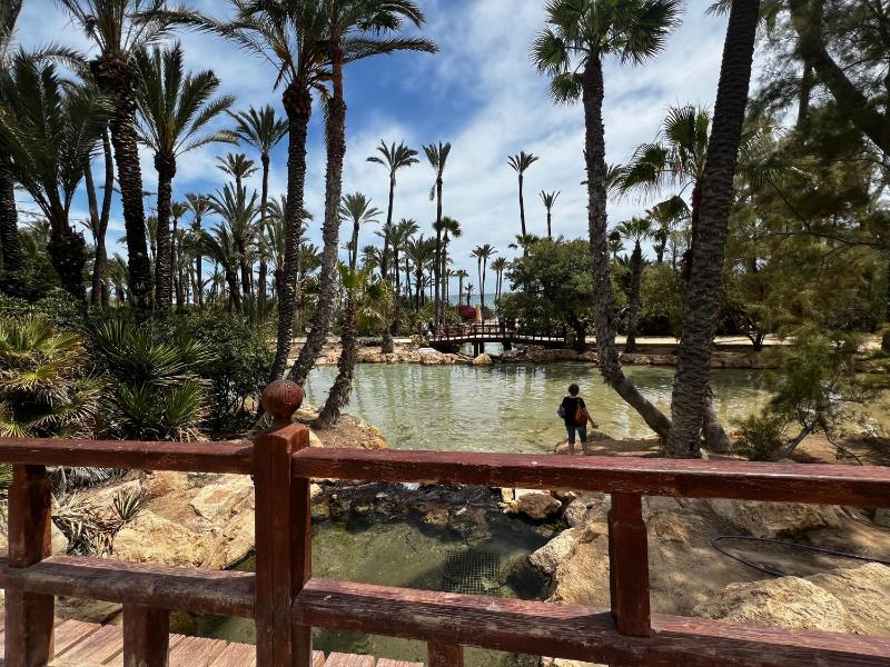 Tropical Loft - image 14