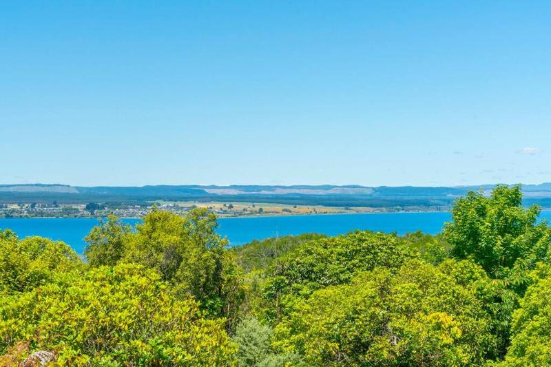 Bird Songs and lake views with wifi - image 24