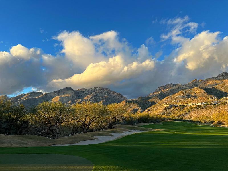 The Nest in Ventana Canyon - image 6