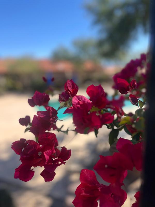 The Nest in Ventana Canyon - image 23