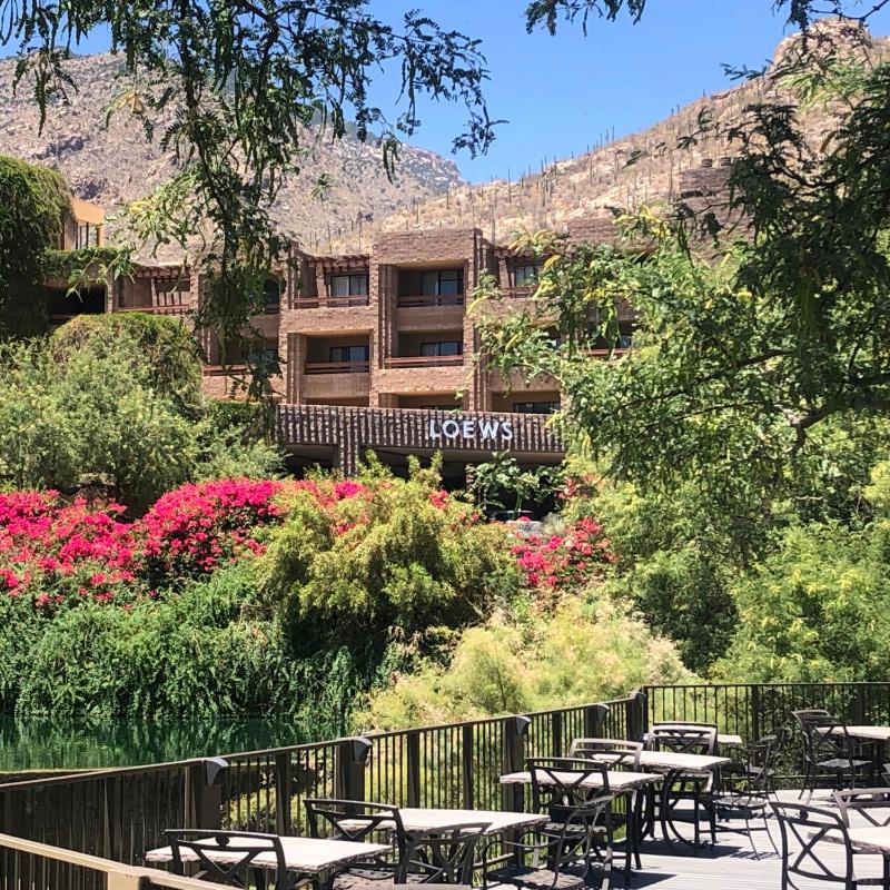 The Nest in Ventana Canyon - image 5