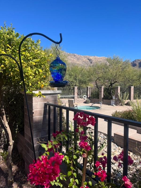 The Nest in Ventana Canyon - image 19