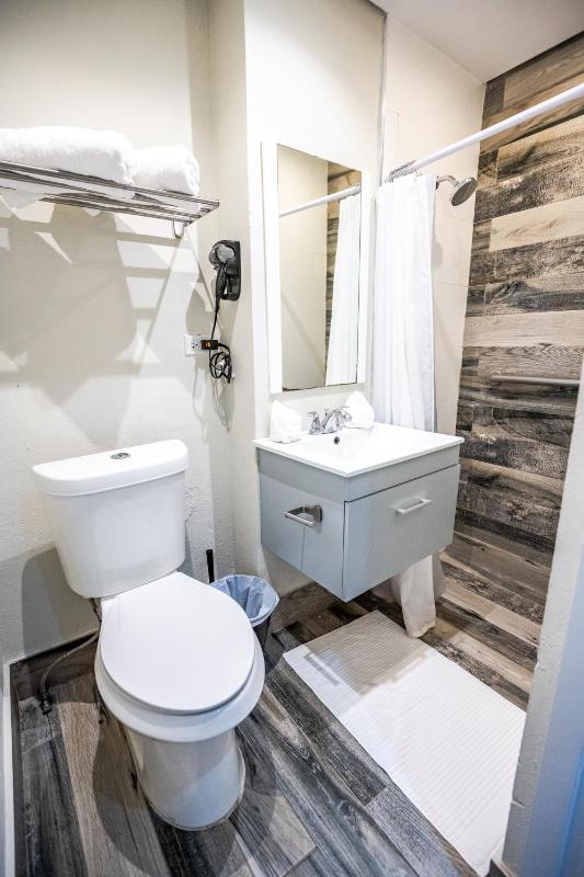 One-Bedroom Apartment image 2