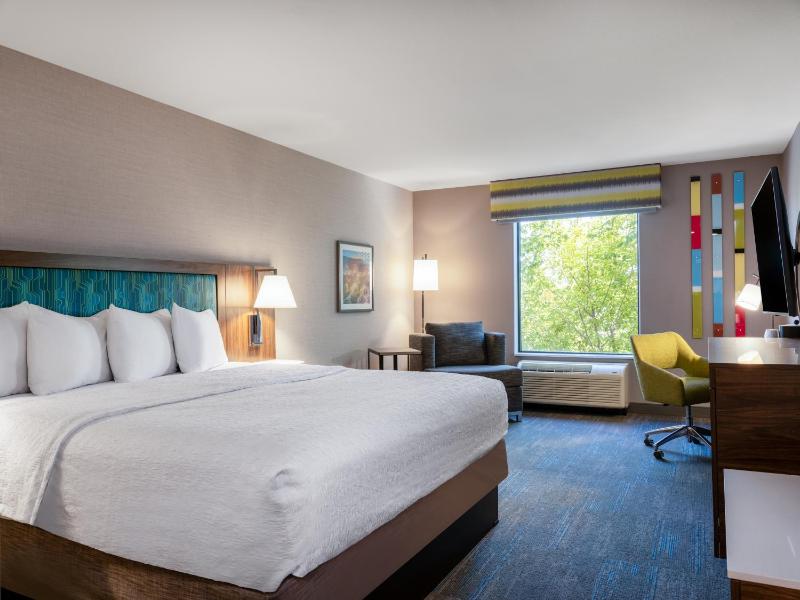 King Room - Mobility and Hearing Accessible - Non-Smoking image 1