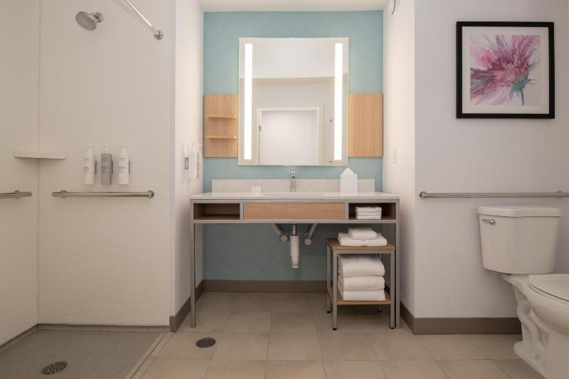 King Room with Sofa Bed and Roll-in Shower - Mobility Accessible image 2
