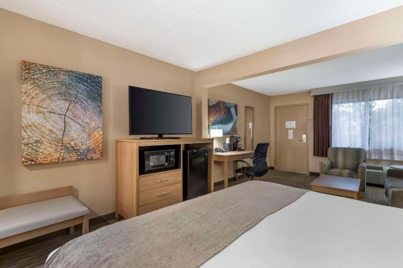 Large King Suite with Sofa Bed - Non-Smoking image 3