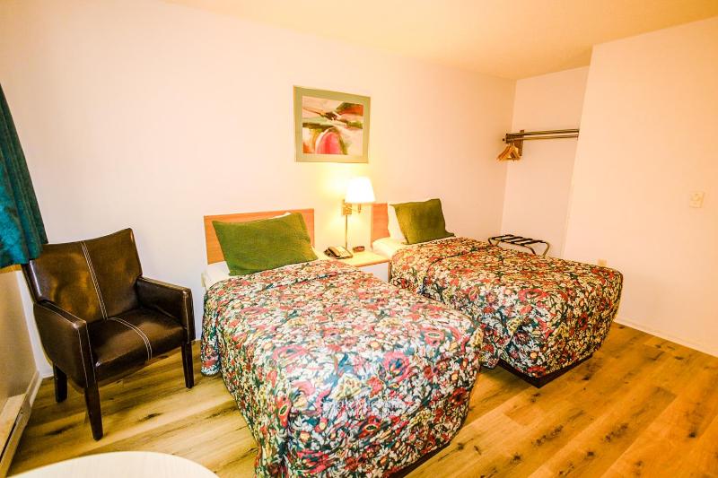 Deluxe Double or Twin Room image 4