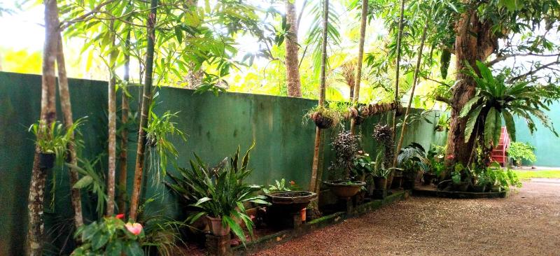 Anu villa Bentota - image 16