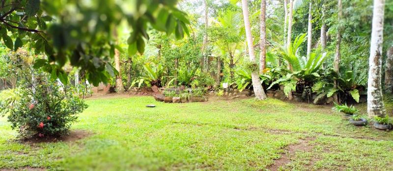 Anu villa Bentota - image 8