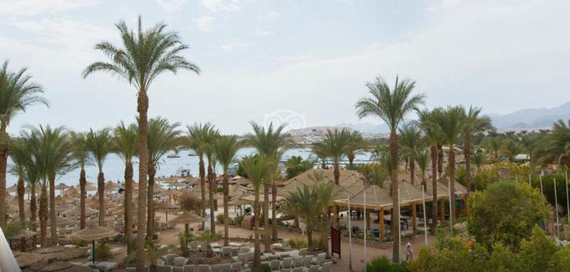 Oonas Dive Club - image 7