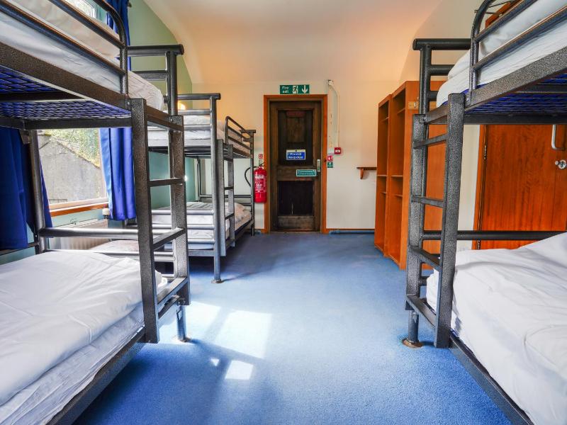 Bunk Bed in Male Dormitory Room with Shared Bathroom image 4