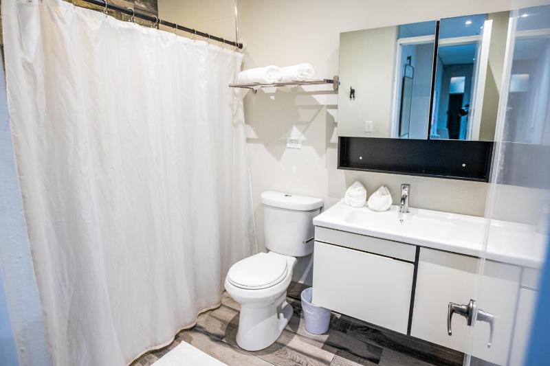 One-Bedroom Apartment image 2