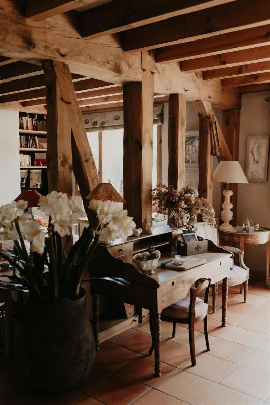 Superior Villa image 2