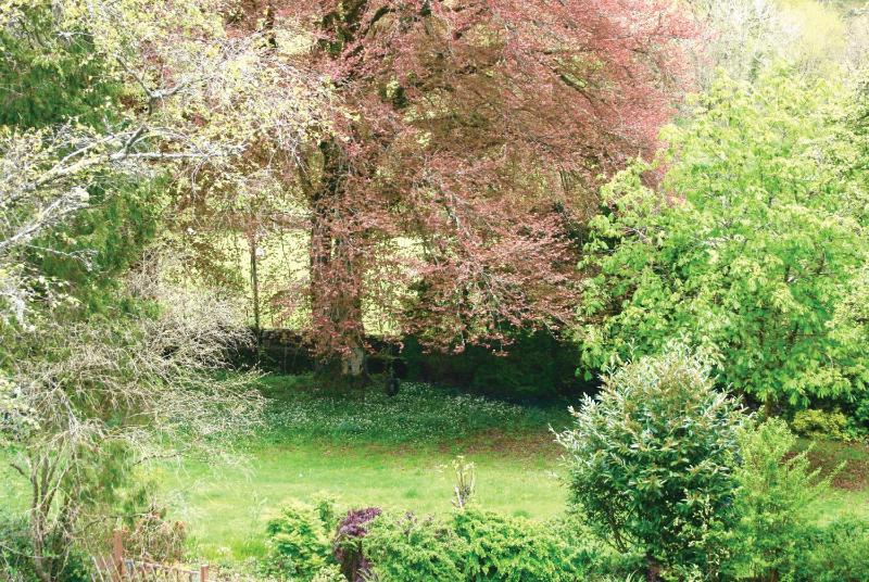 Deluxe Double Room with Shower image 2