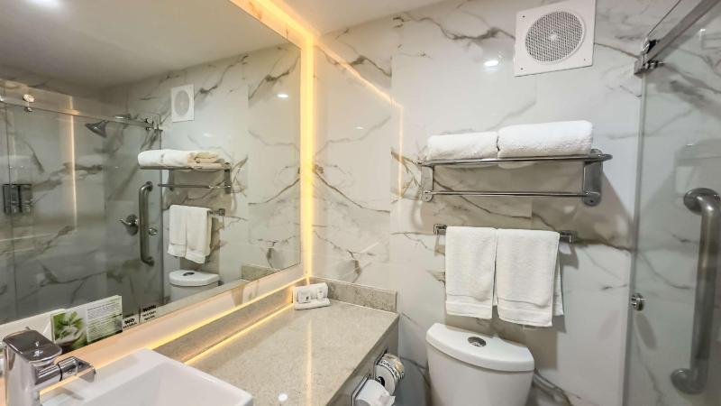 Best Western Plus Monterrey Colon - image 33