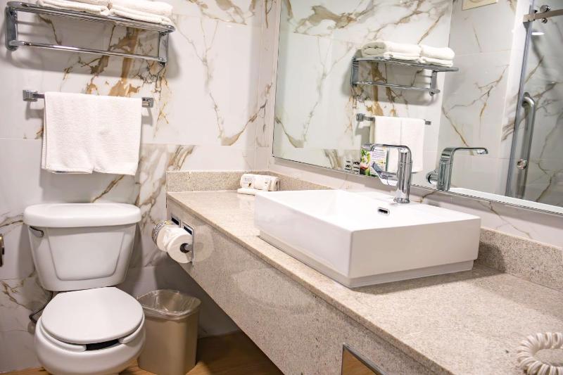 Best Western Plus Monterrey Colon - image 20