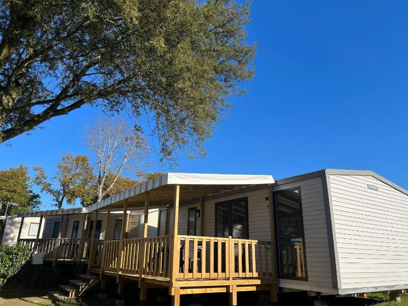 Mobile Home image 1