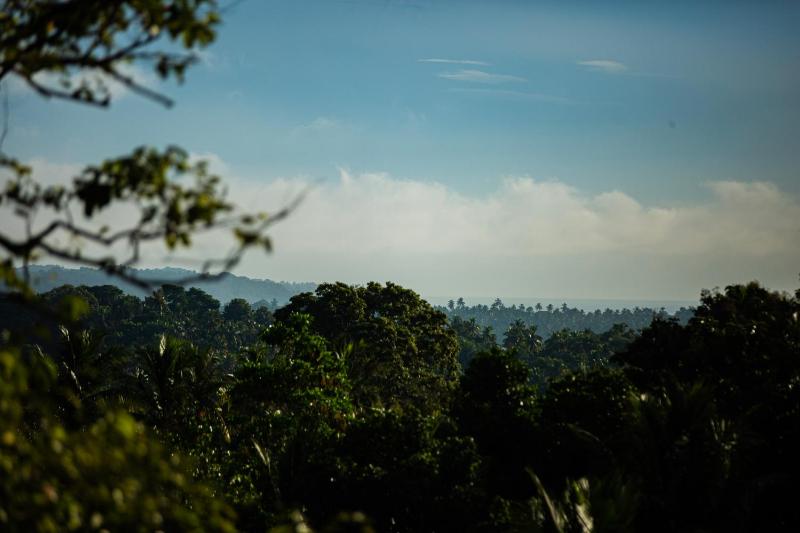 FlyOn Resort - image 4