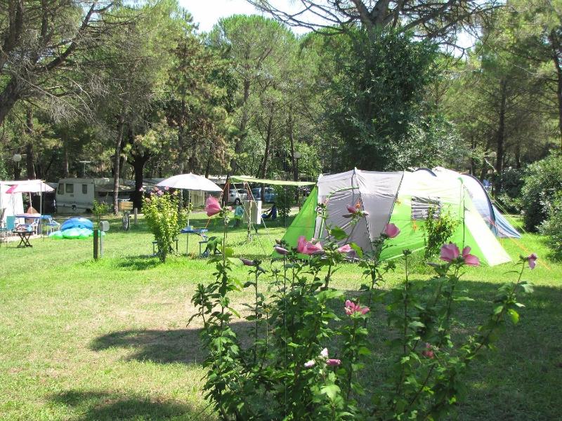 Empty lot (bring your own Tent or Caravan or Motor home) image 2