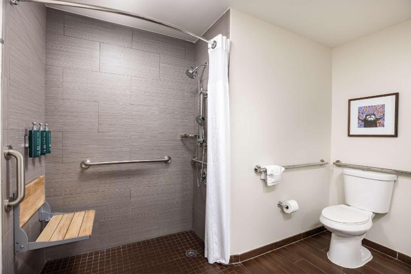 King Suite - Disability Access/Non-Smoking image 4