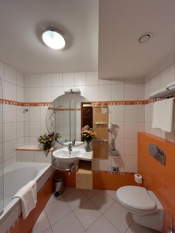 Superior Double/Twin Room image 4