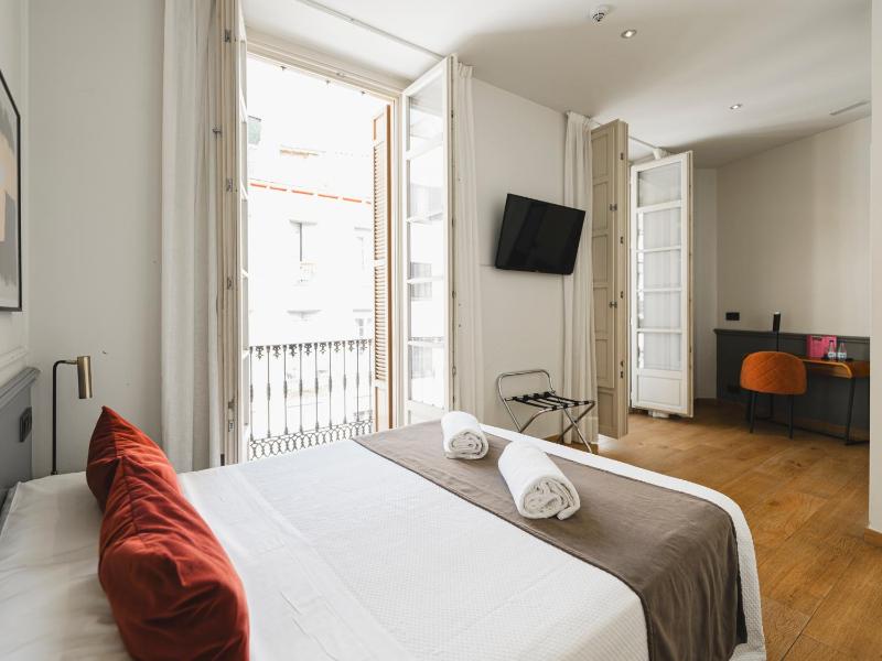 Double or Twin Room image 1