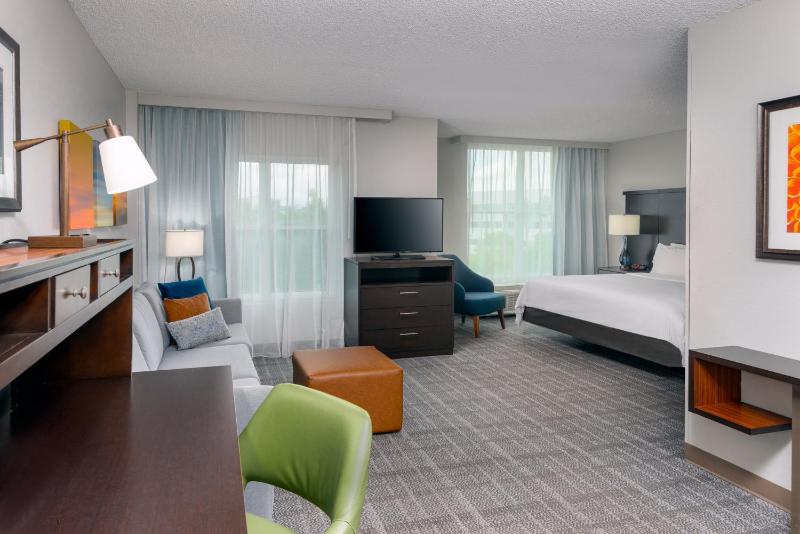 King Studio Suite with Sofa Bed image 2