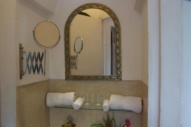 Riad Safa - image 10