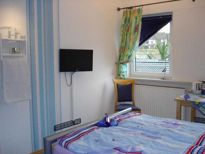 Large Single Room image 2
