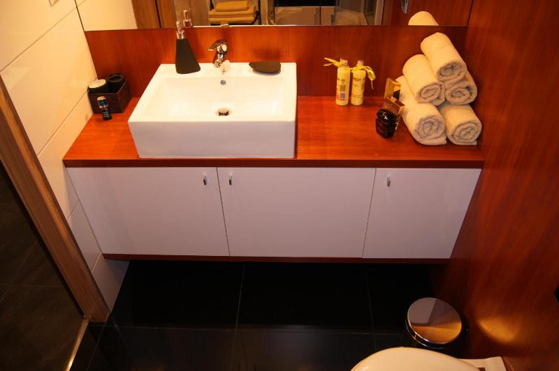 One-Bedroom Apartment image 3