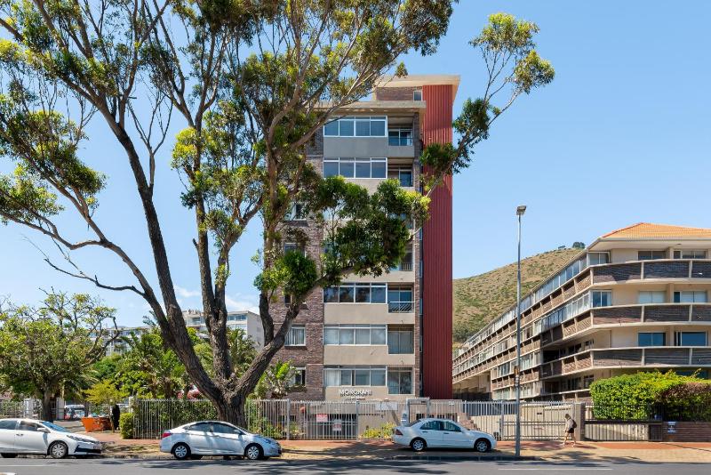 Morokani 303 - image 12